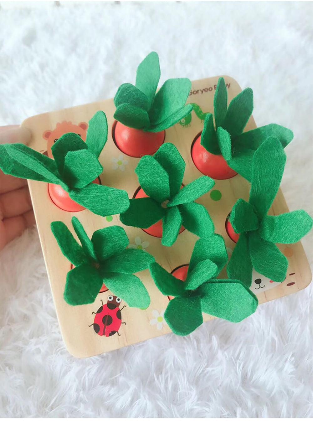 Carrots and Box