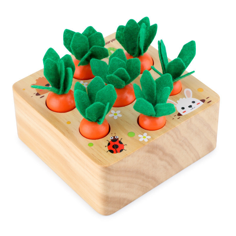 Carrots and Box
